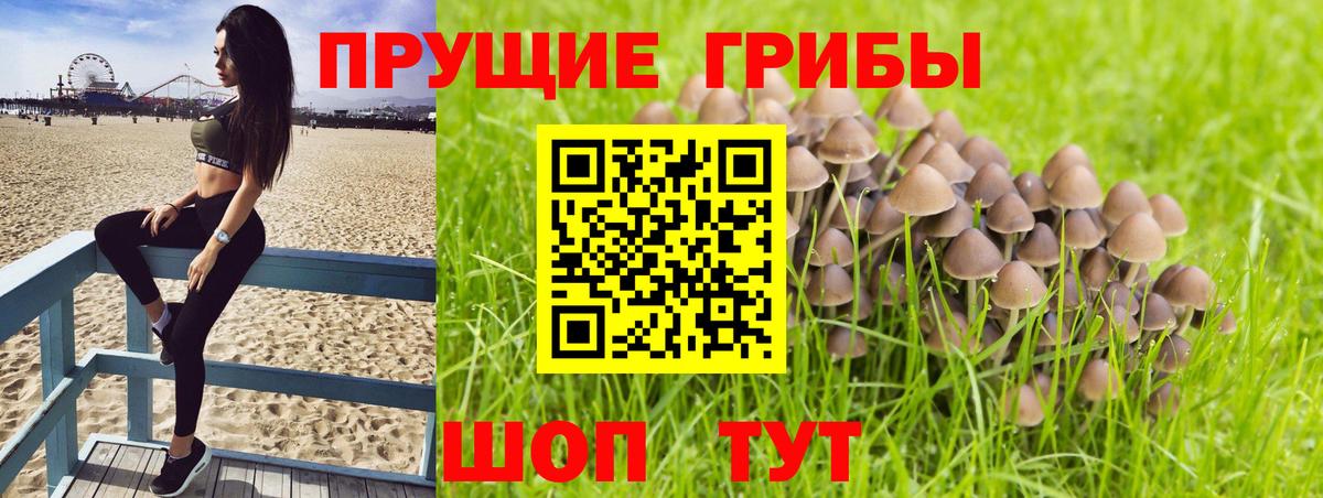 Галлюциногенные грибы ЛСД  Вход с VPN  Черняховск  Псилоцибиновые грибы Magic Shrooms 