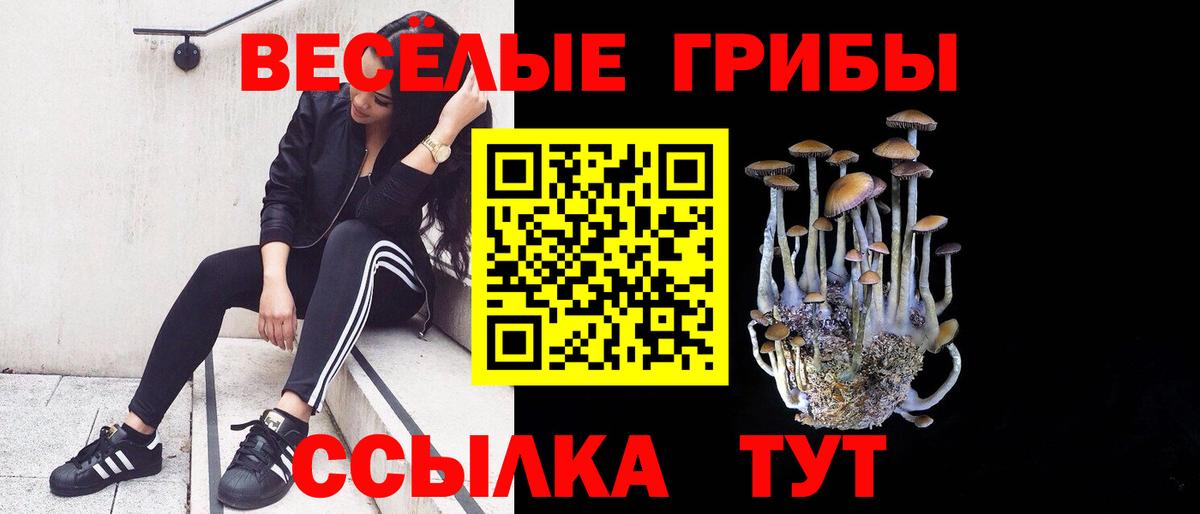 Псилоцибиновые грибы прущие грибы Черняховск